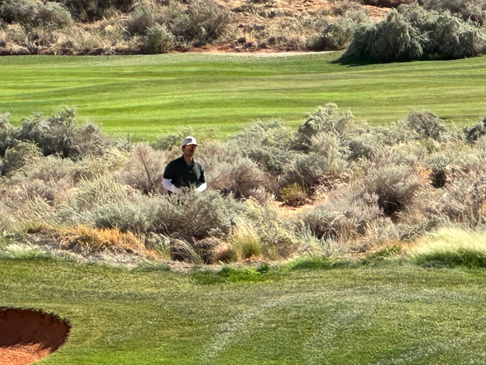 Hunting for a ball in the desert brush